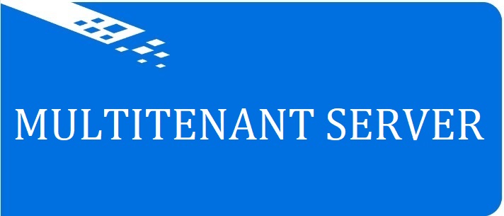 Лицензия активации Мультитенант на серверах Standart и Enterprise VI-S006A